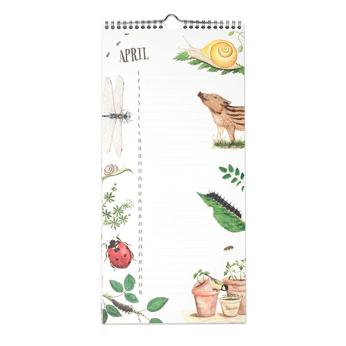 Geburtstagskalender ringgebunden – Bild 4