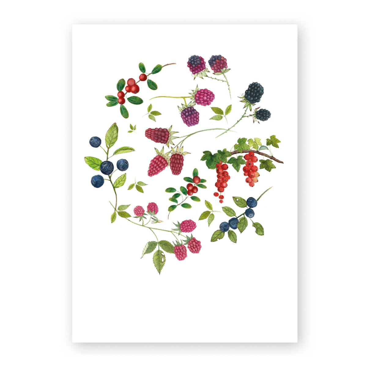 Postkarte &amp;quot;Allerlei Beeren&amp;quot; - Atelier Baldrian &amp; Hackel OG