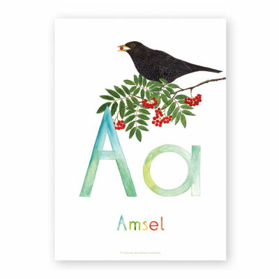 Buchstaben-Karte (einzeln) - Aa