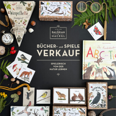 Spielwaren und Bilderbücher auf schwarzem Hintergrund mit Naturmaterial