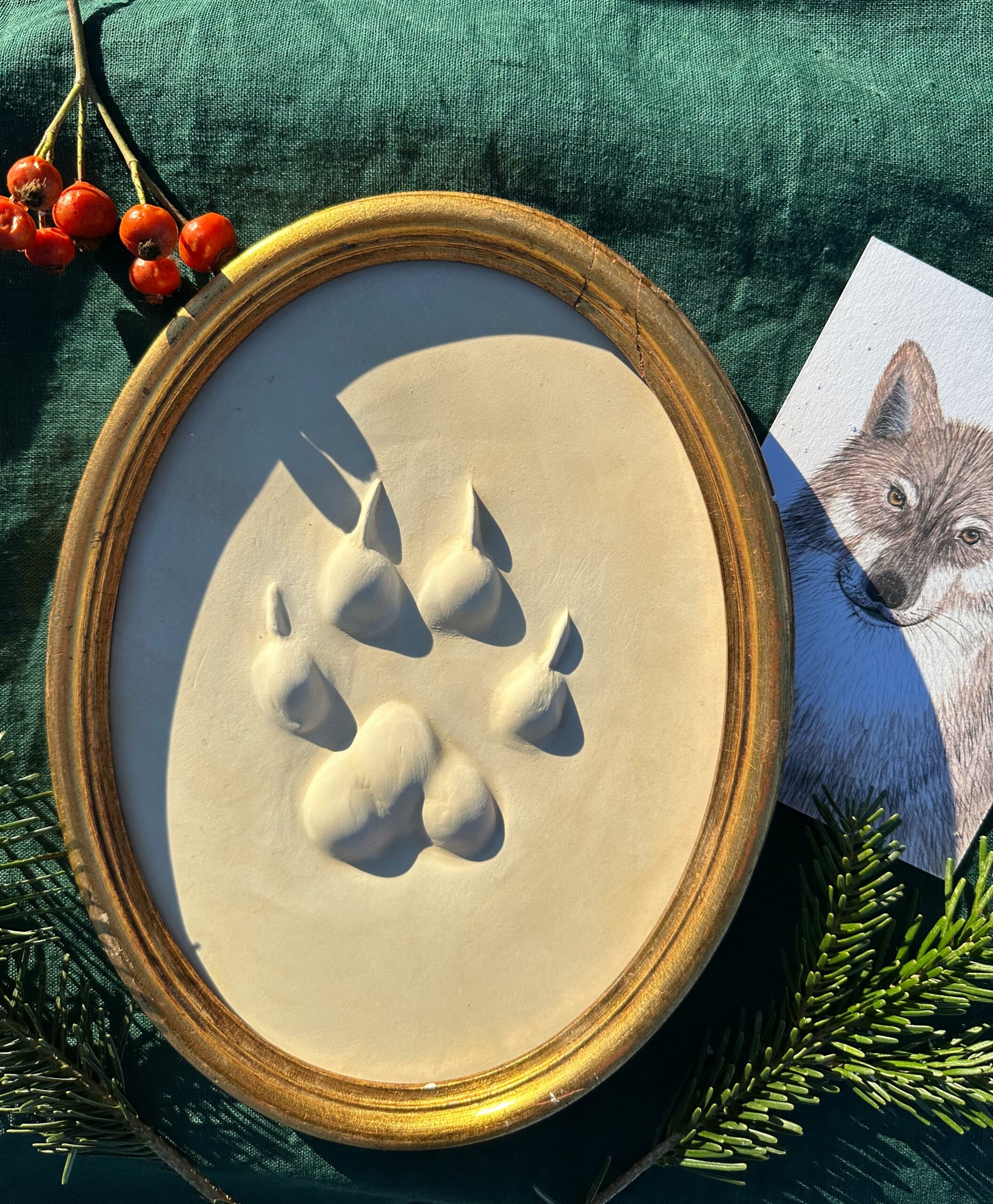 Wolfsspur in Gips gegossen, gerahmt in einem ovalen goldenen Holzrahmen und Postkarte mit einem gemalten Wolf