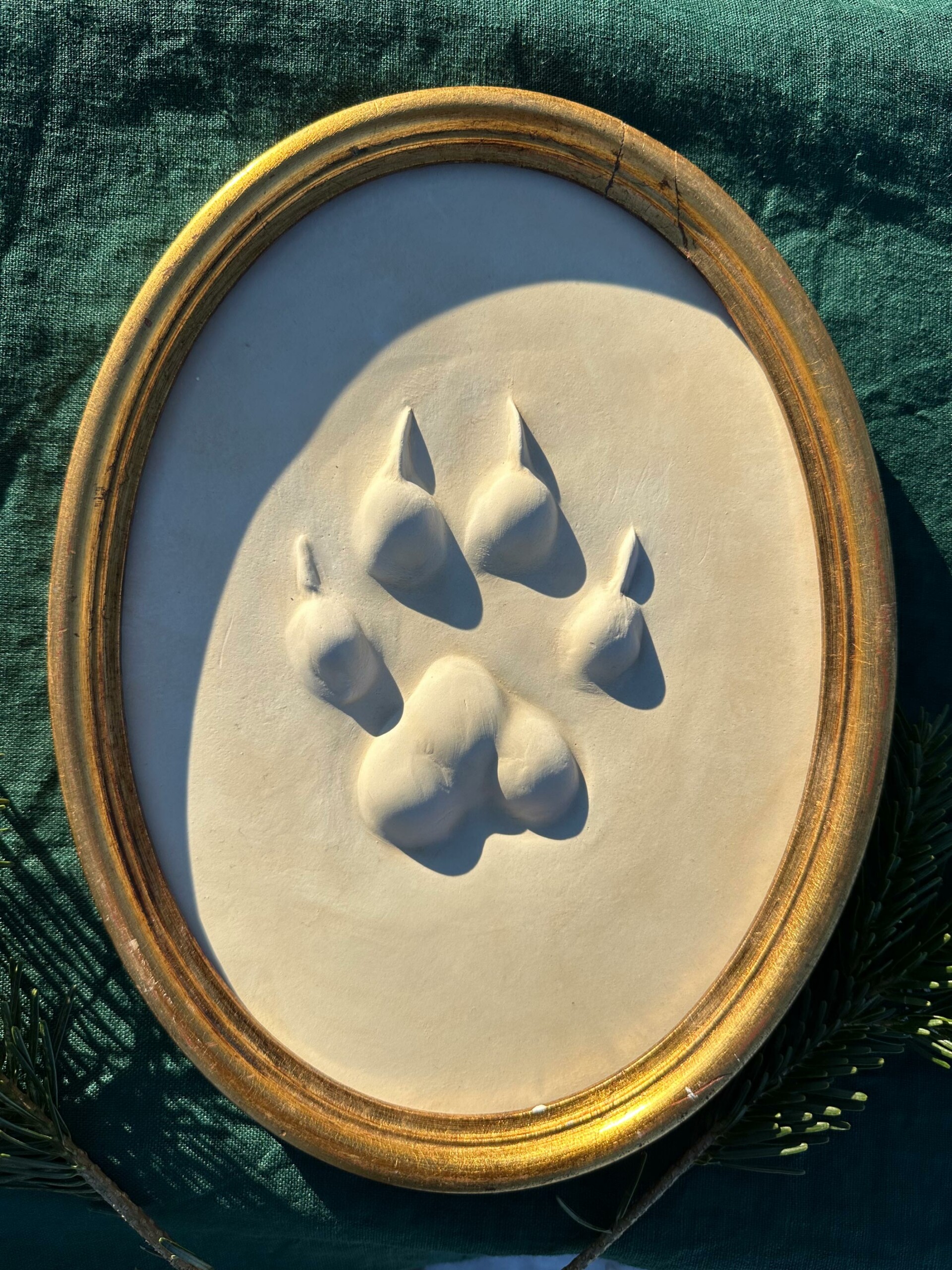 Wolfsspur in Gips gegossen, gerahmt in einem ovalen goldenen Holzrahmen