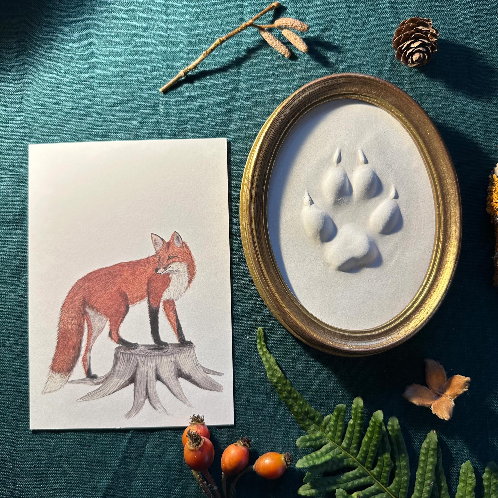 Gipsabguss einer Fuchsspur gerahmt in einem ovalen Goldrahmen aus Holz