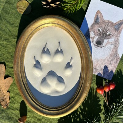Gipsabguss einer Wolfsspur gerahmt in einem ovalen Goldrahmen