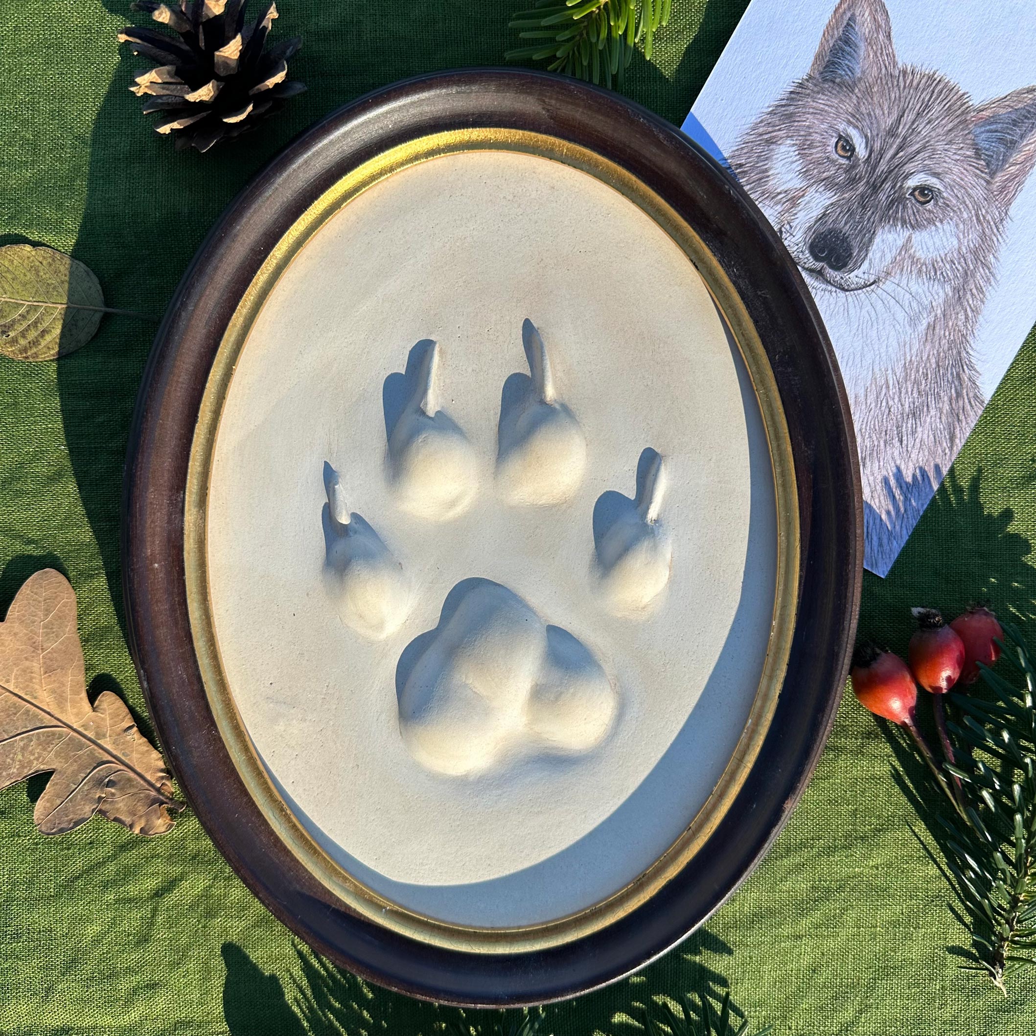 Gipsabguss einer Wolfsspur gerahmt in einem ovalen Goldrahmen