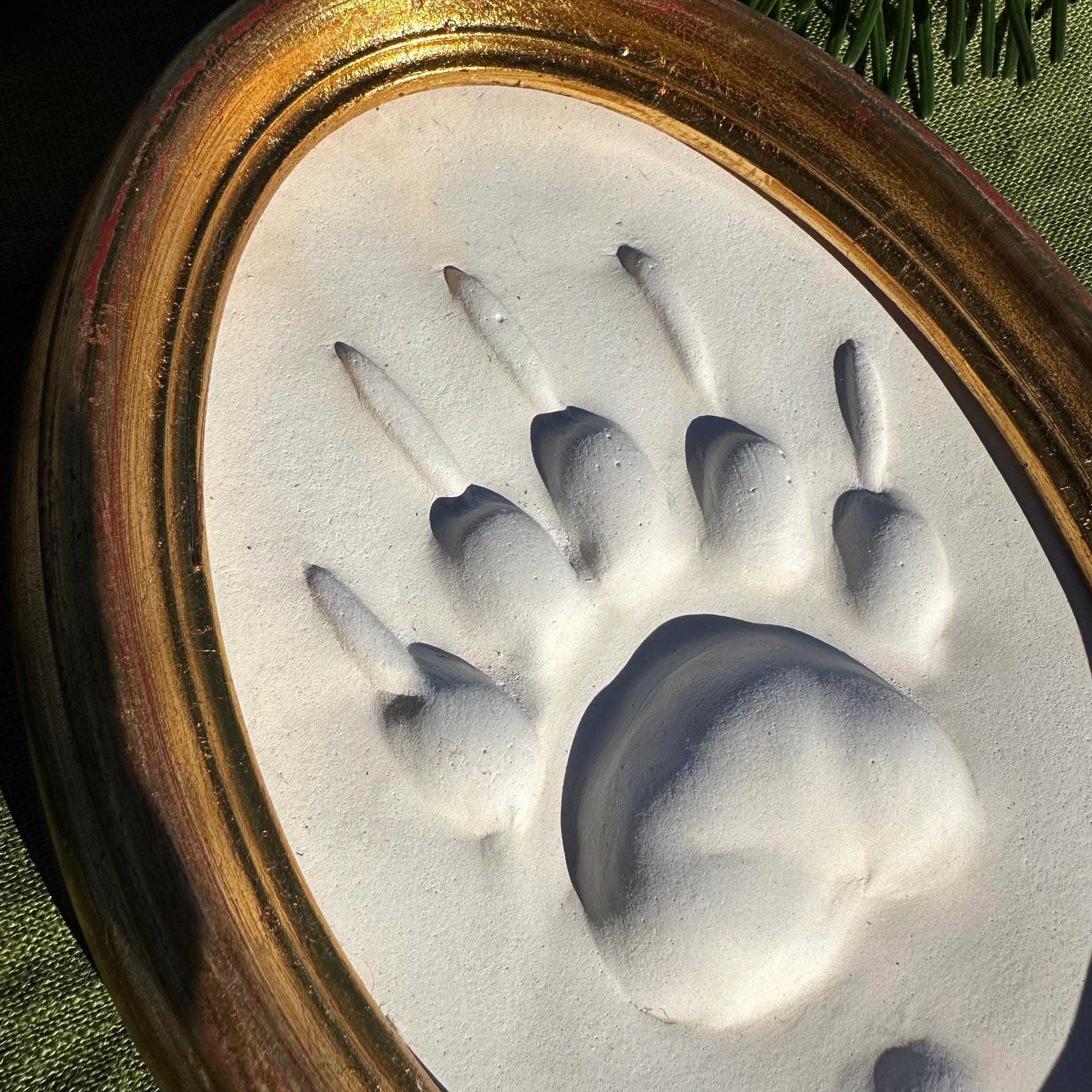 Gipsabguss einer Dachsspur gerahmt in einem ovalen Goldrahmen