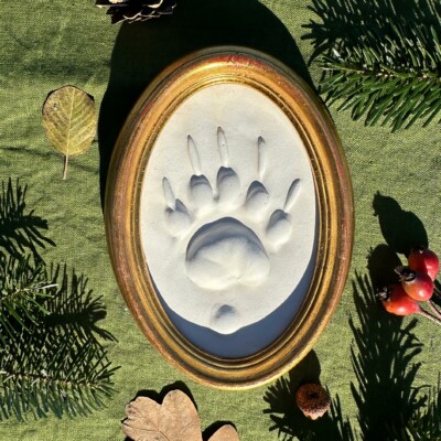 Gipsabguss einer Wolfsspur gerahmt in einem ovalen Goldrahmen