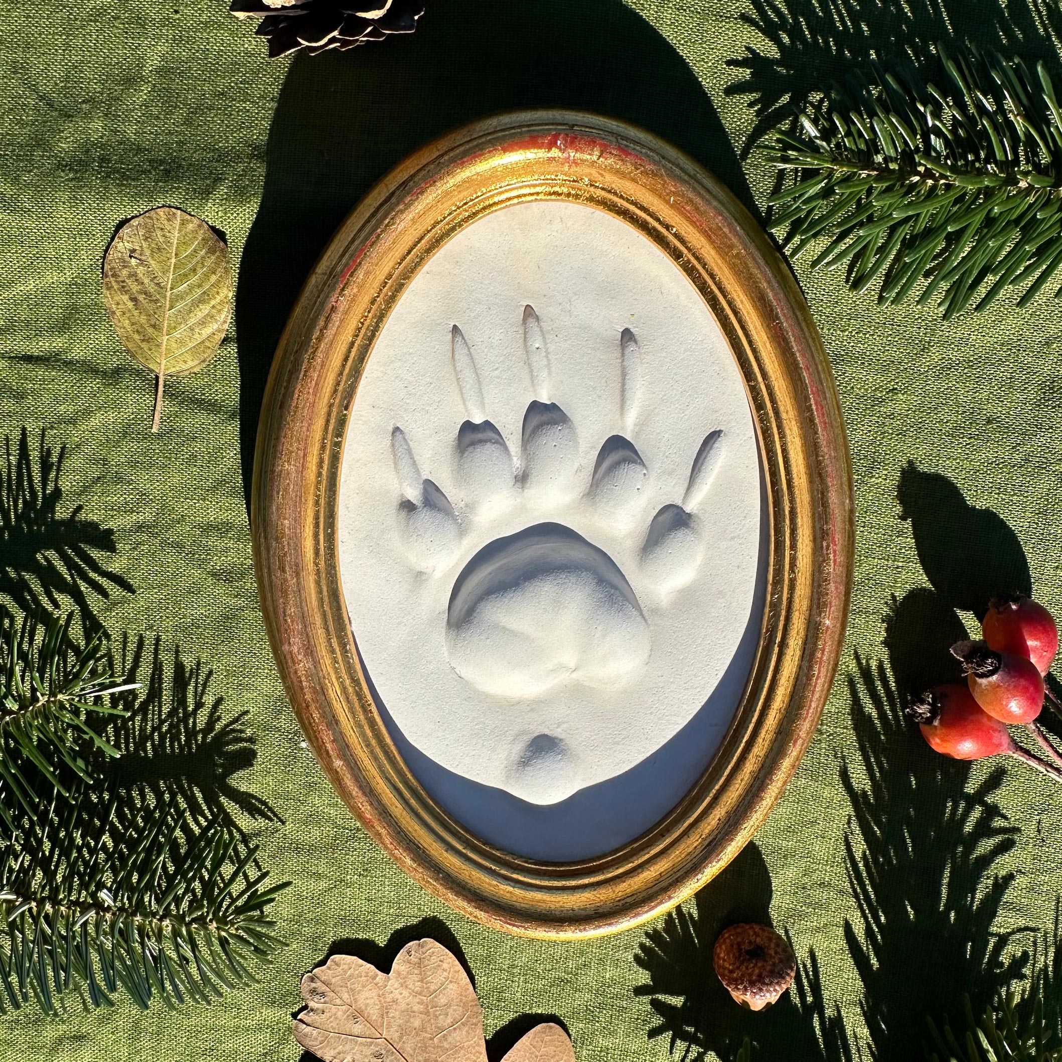 Gipsabguss einer Wolfsspur gerahmt in einem ovalen Goldrahmen