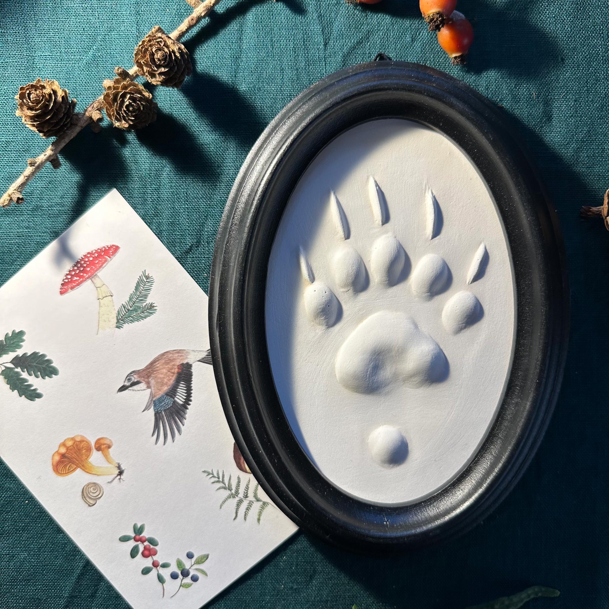 Dachsspur (original Abguss) – Bild 2