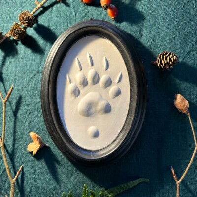 Gipsabguss einer Dachsspur gerahmt in einem ovalen Rahmen aus Holz