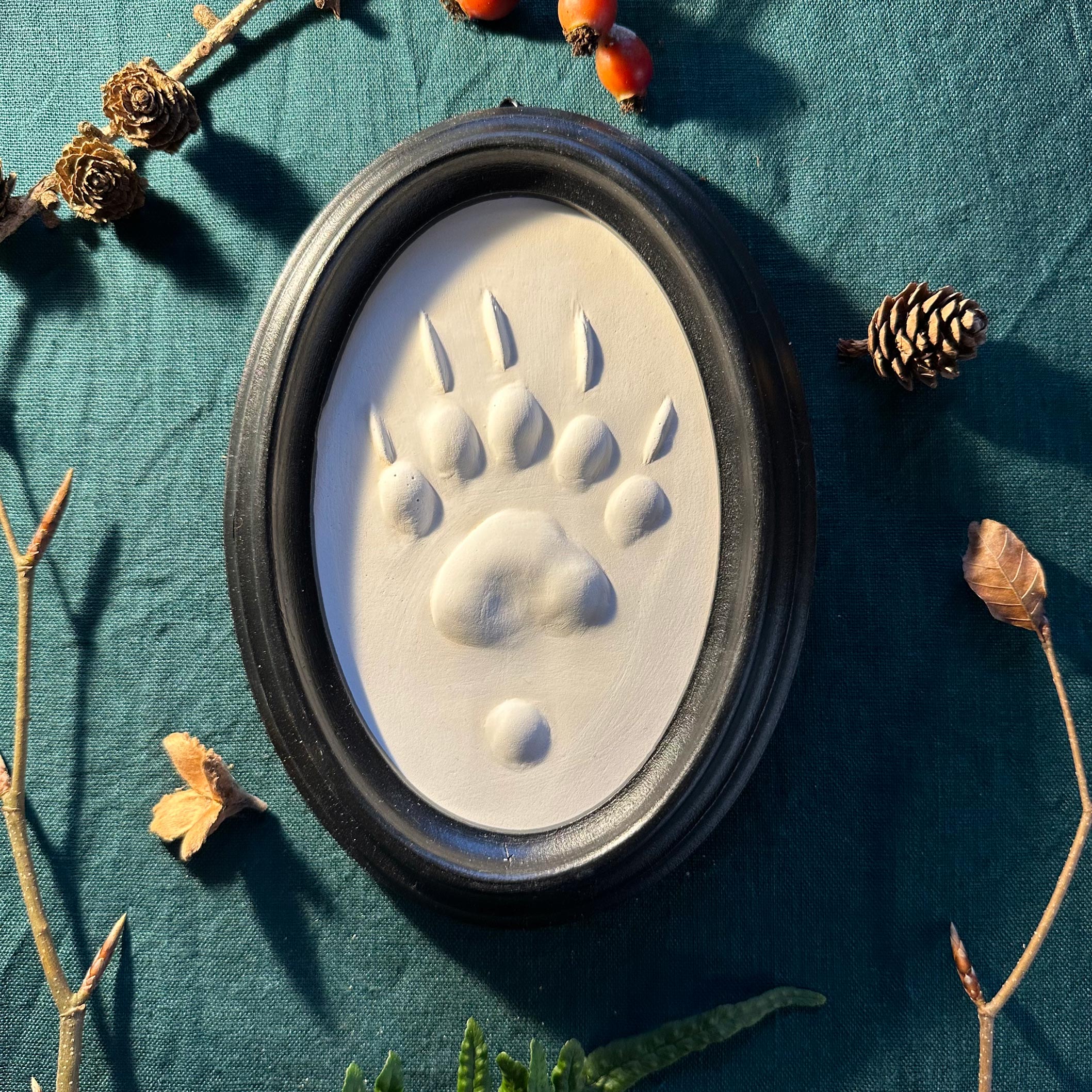 Gipsabguss einer Dachsspur gerahmt in einem ovalen Rahmen aus Holz