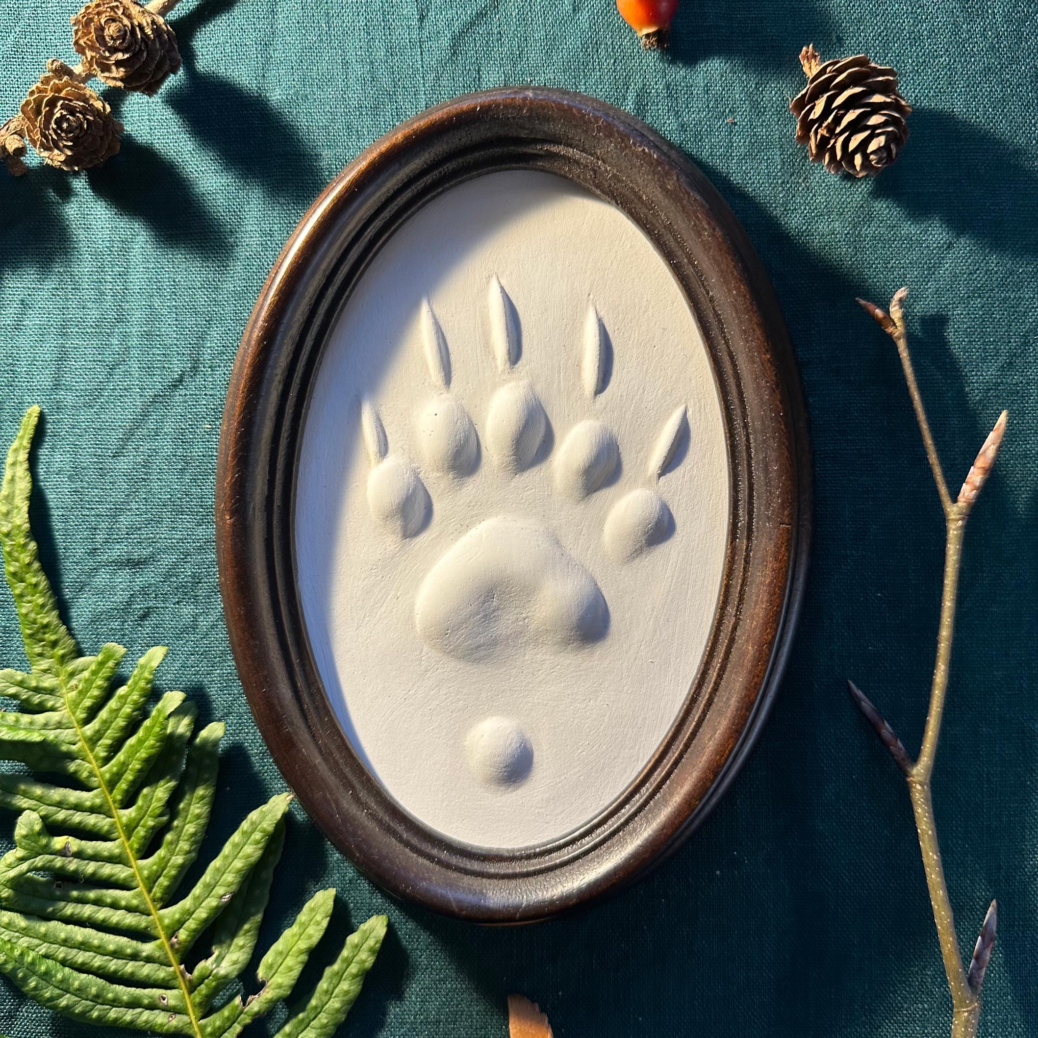 Gipsabguss einer Dachsspur gerahmt in einem ovalen Rahmen aus Holz