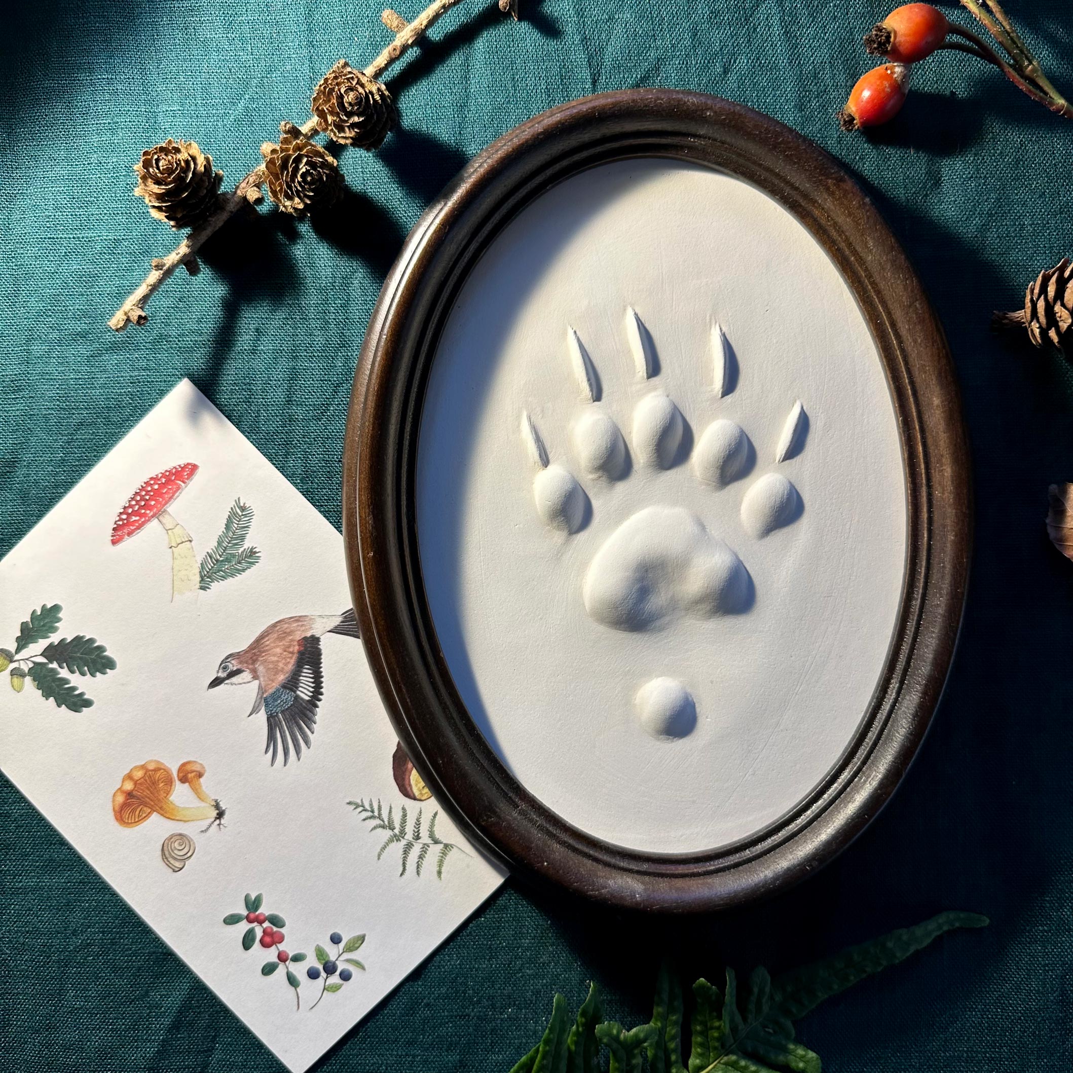 Gipsabguss einer Dachsspur gerahmt in einem ovalen Rahmen aus Holz