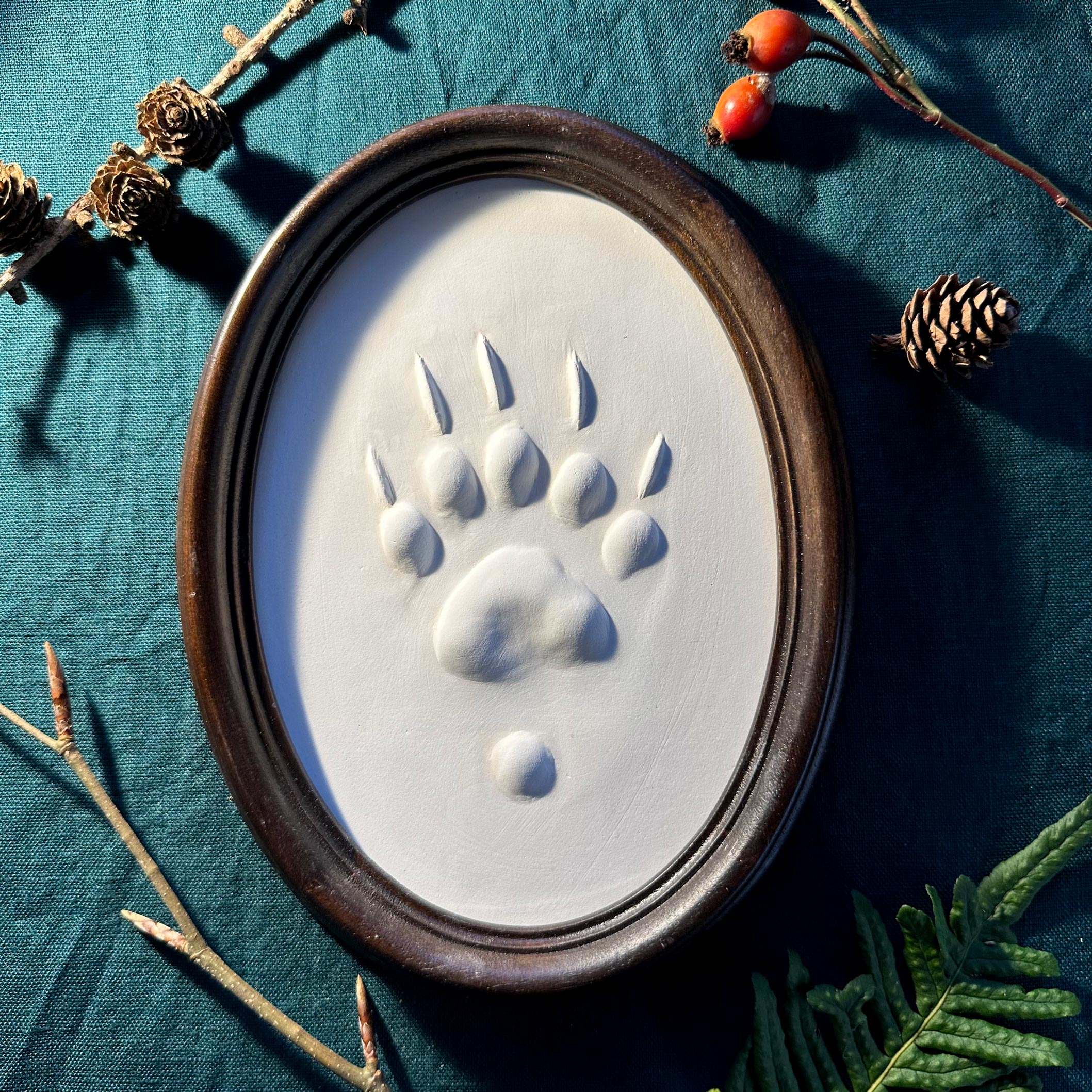 Gipsabguss einer Dachsspur gerahmt in einem ovalen Rahmen aus Holz