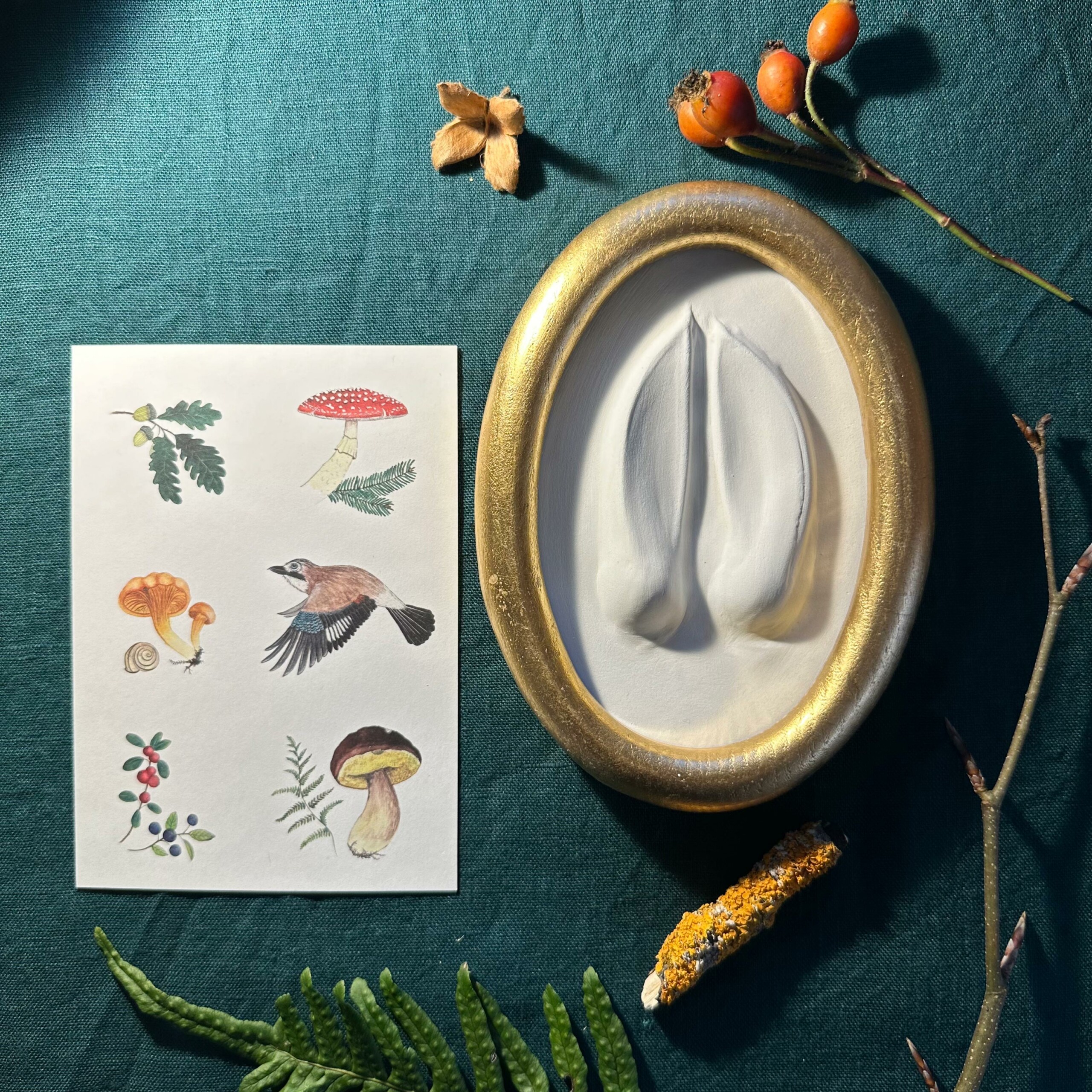 Gipsabguss einer Hirschspur gerahmt in einem Goldrahmen aus Holz