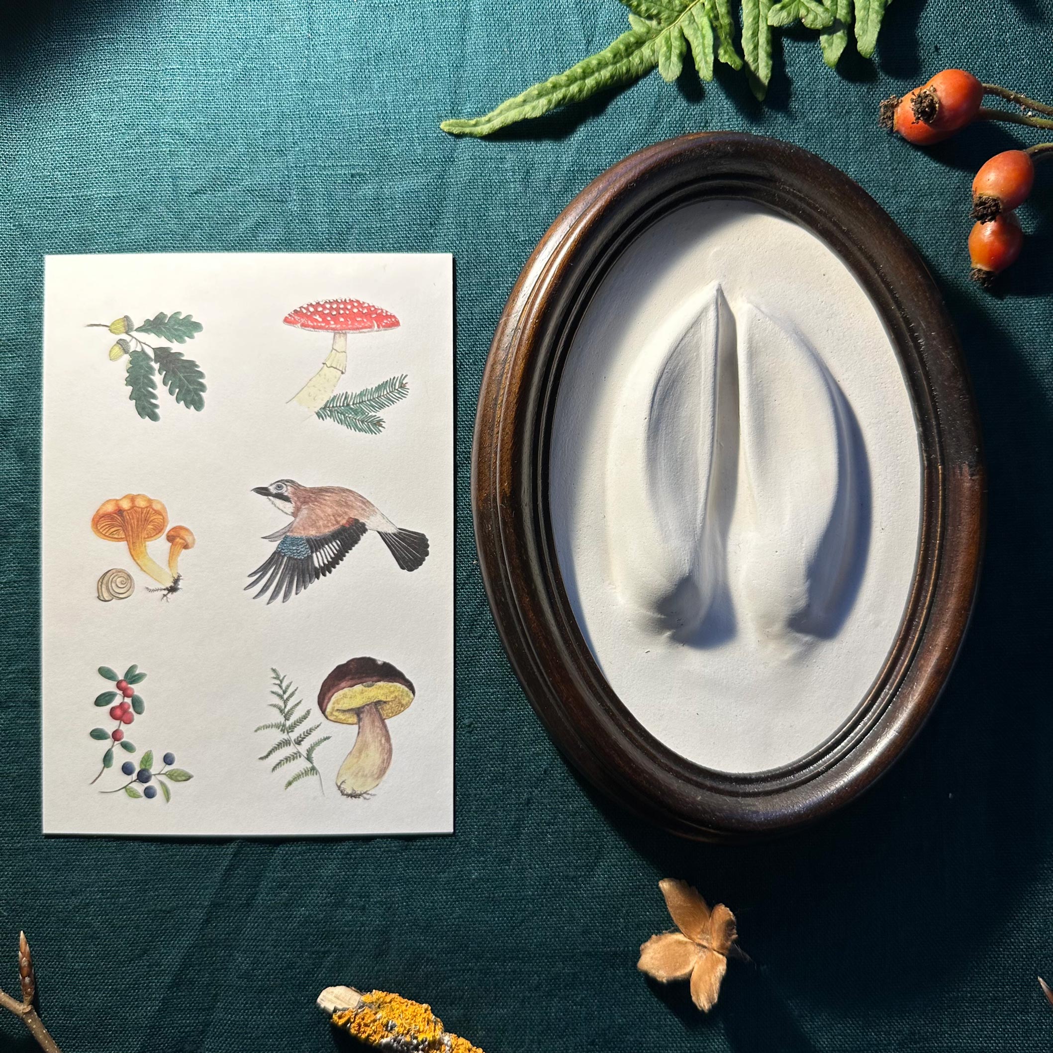 Gipsabguss einer Hirschspur gerahmt in einem Rahmen aus Holz