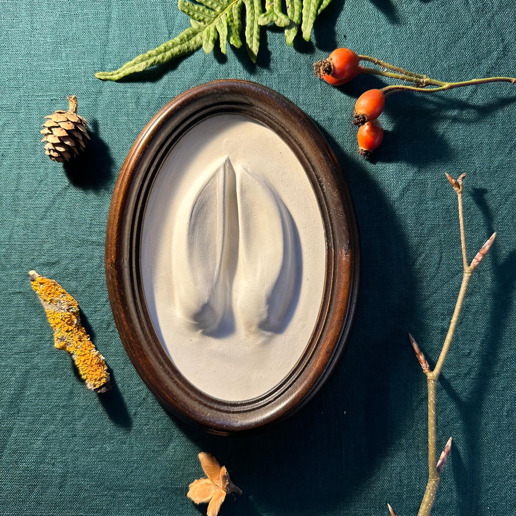 Gipsabguss einer Hirschspur gerahmt in einem Rahmen aus Holz