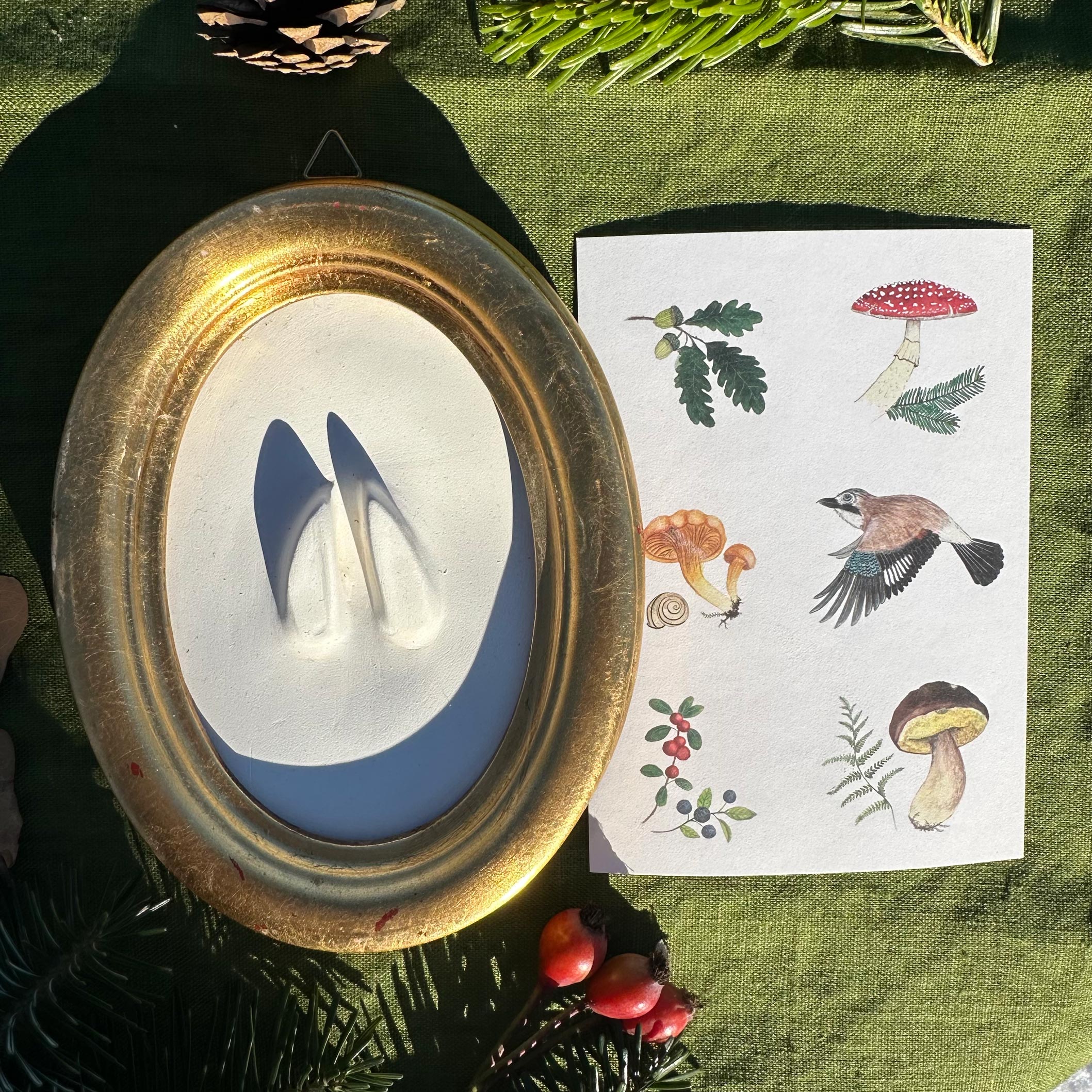 Gipsabguss einer Rehspur gerahmt in einem ovalen Goldrahmen aus Holz