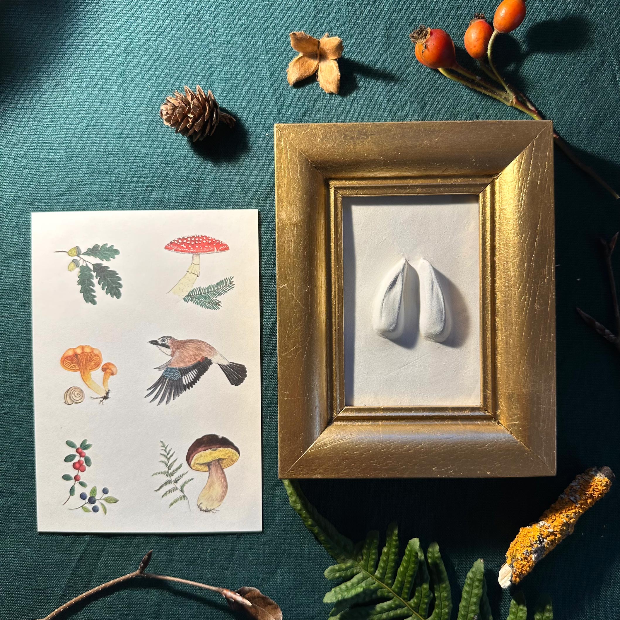 Rehspur (original Abguss) – Bild 2