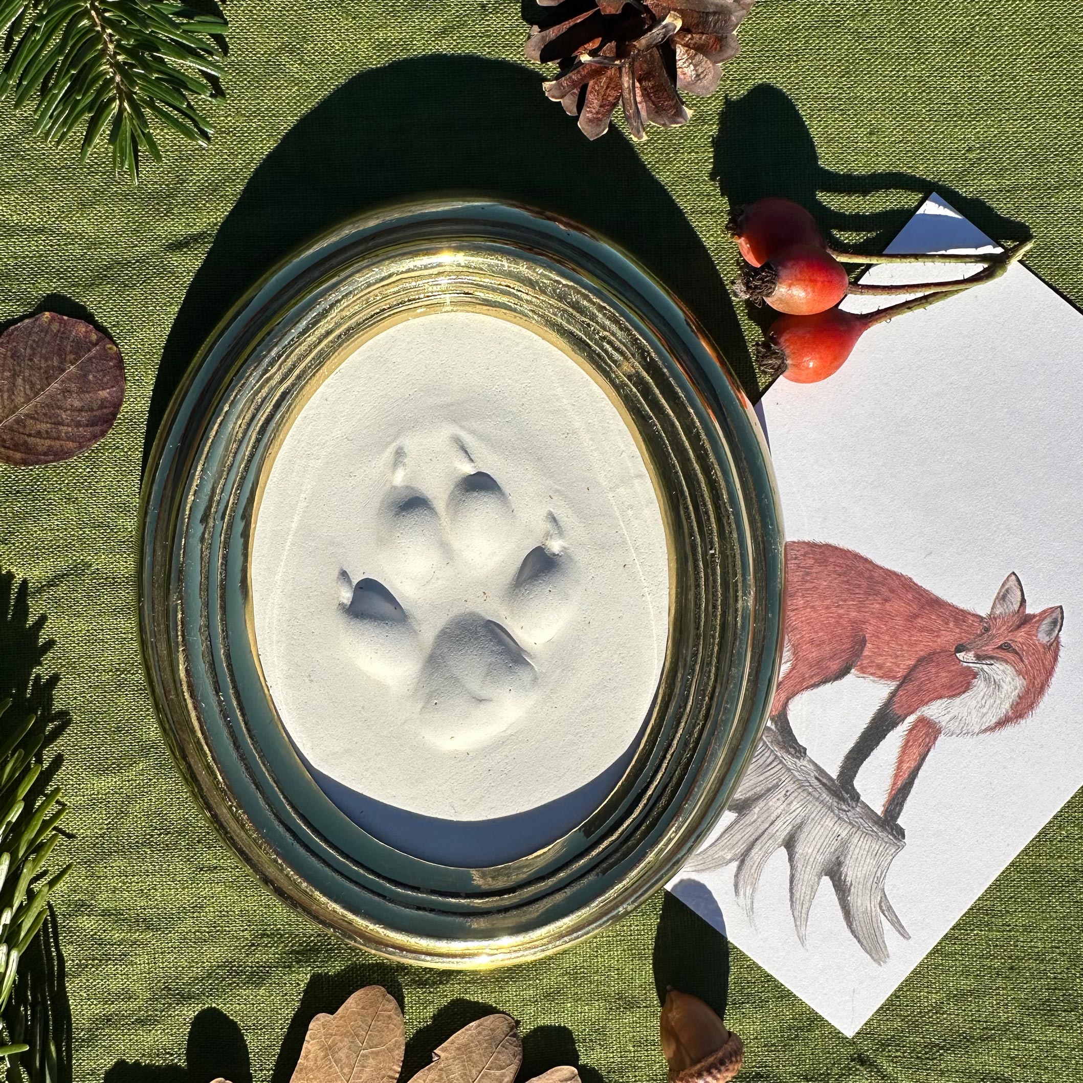Gipsabguss einer Fuchsspur gerahmt in einem ovalen Goldrahmen aus Messing