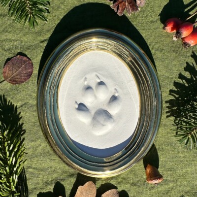 Gipsabguss einer Fuchsspur gerahmt in einem ovalen Goldrahmen aus Messing