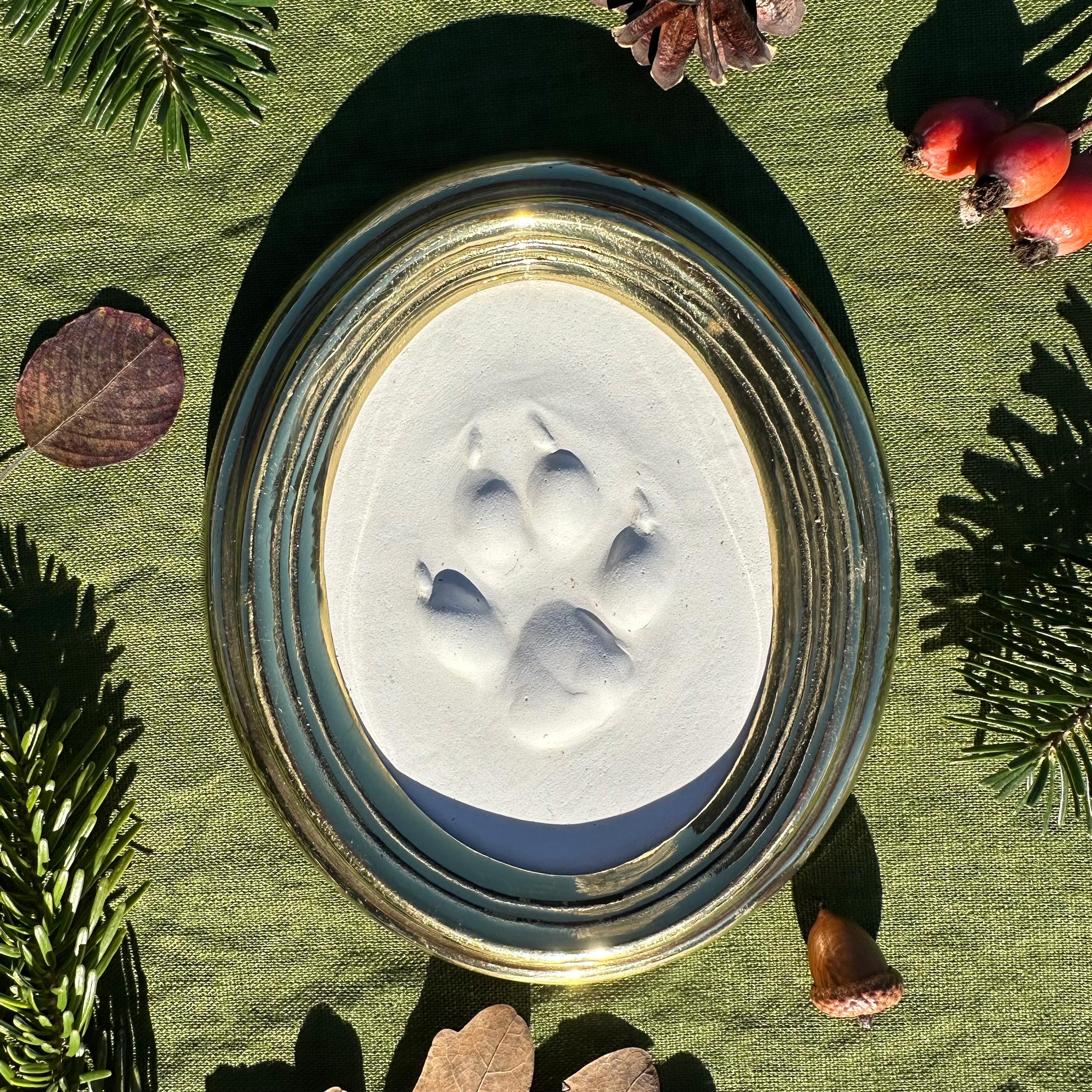 Gipsabguss einer Fuchsspur gerahmt in einem ovalen Goldrahmen aus Messing