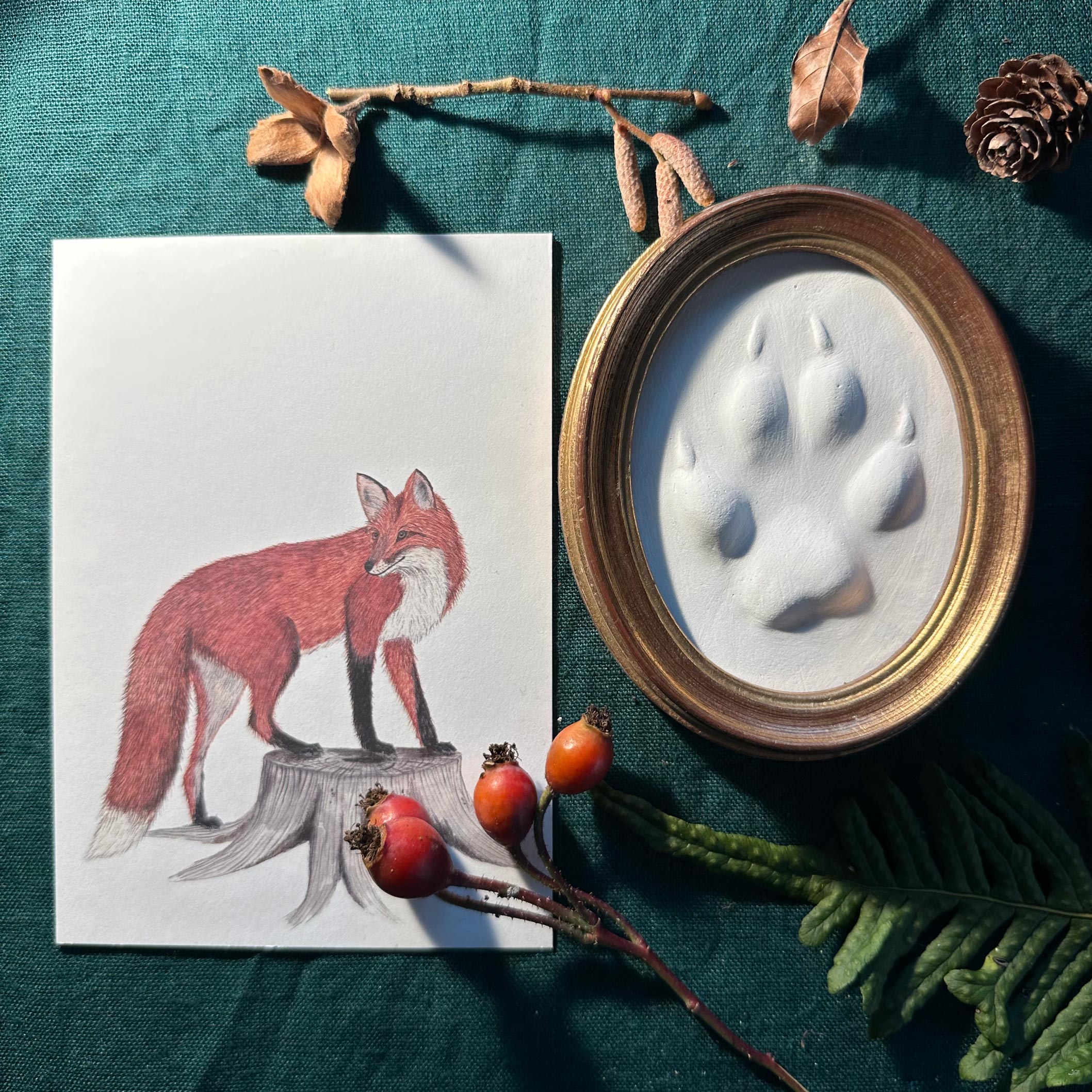 Gipsabguss einer Fuchsspur gerahmt in einem ovalen Goldrahmen aus Holz