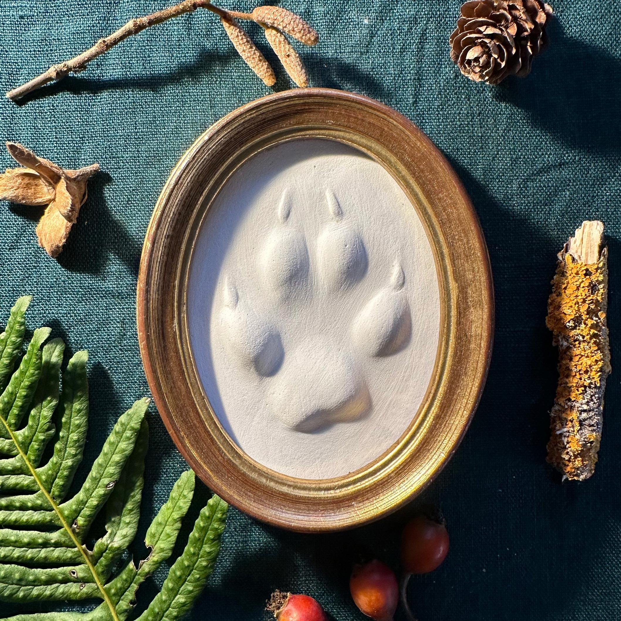 Gipsabguss einer Fuchsspur gerahmt in einem ovalen Goldrahmen aus Holz