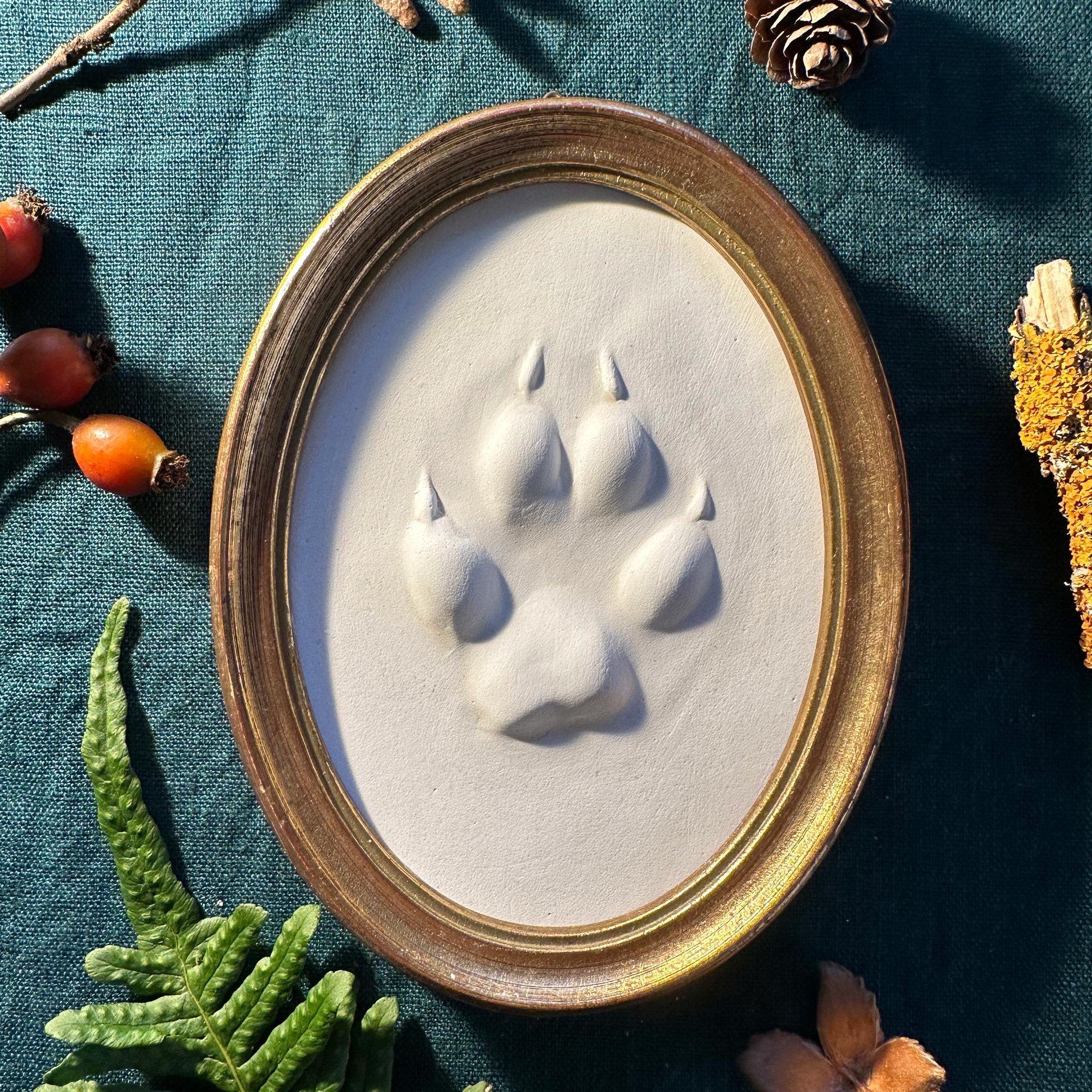 Gipsabguss einer Fuchsspur gerahmt in einem ovalen Goldrahmen aus Holz