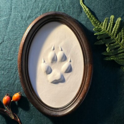 Gipsabguss einer Fuchsspur gerahmt in einem ovalen Rahmen aus Holz