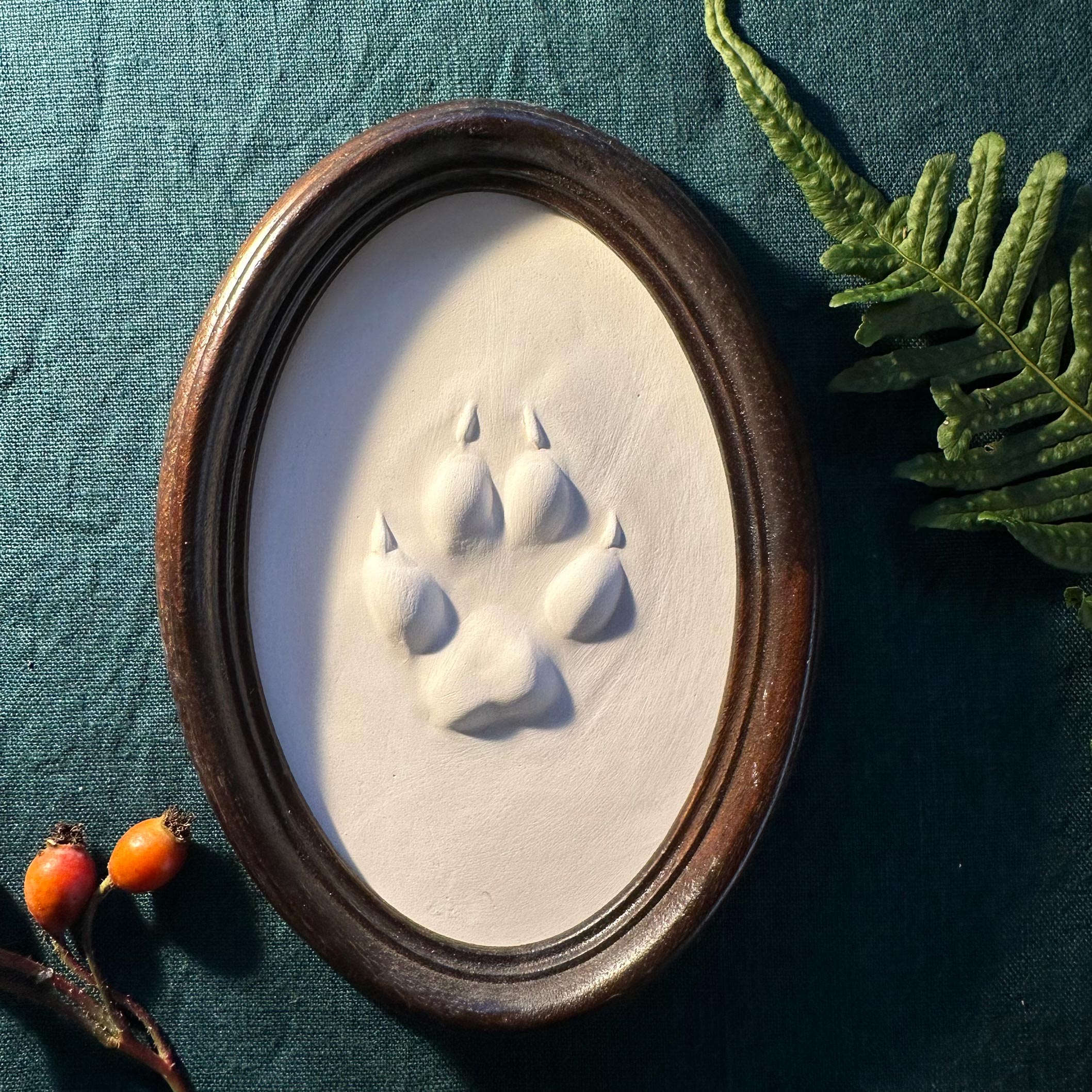 Gipsabguss einer Fuchsspur gerahmt in einem ovalen Rahmen aus Holz