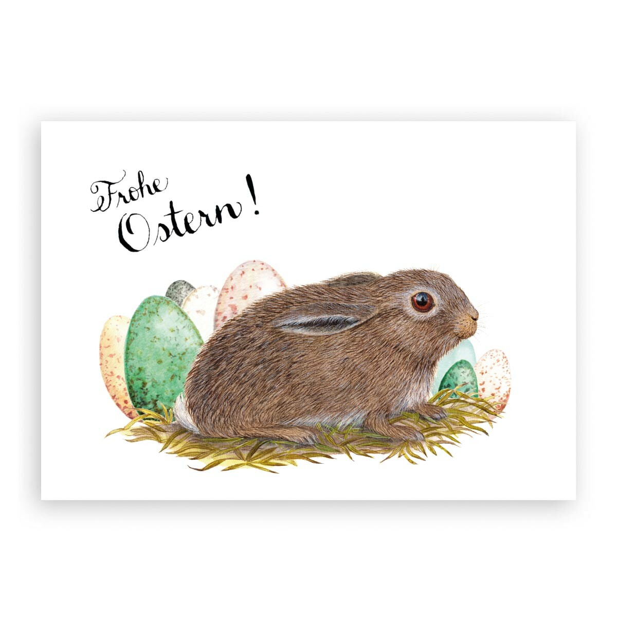 Illustration eines jungen Feldhasen, dahinter verschiedene Vogeleier, wie Ostereier in einem Nest. Dazu ein handschriftlicher Text "Frohe Ostern"