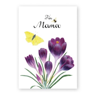 Illustration eines violetten Krokus und ein Zitronenfalter und eine Hummel. Dazu ein handschriftlicher Text "Für Mama"