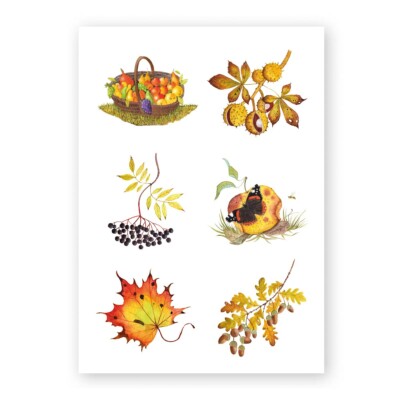 Illustration verschiedener Herbstszenen. Bunte Blätter, ein Erntekorb, Kastanien, ein Admiral auf Fallobst, Eicheln und reifer Holunder