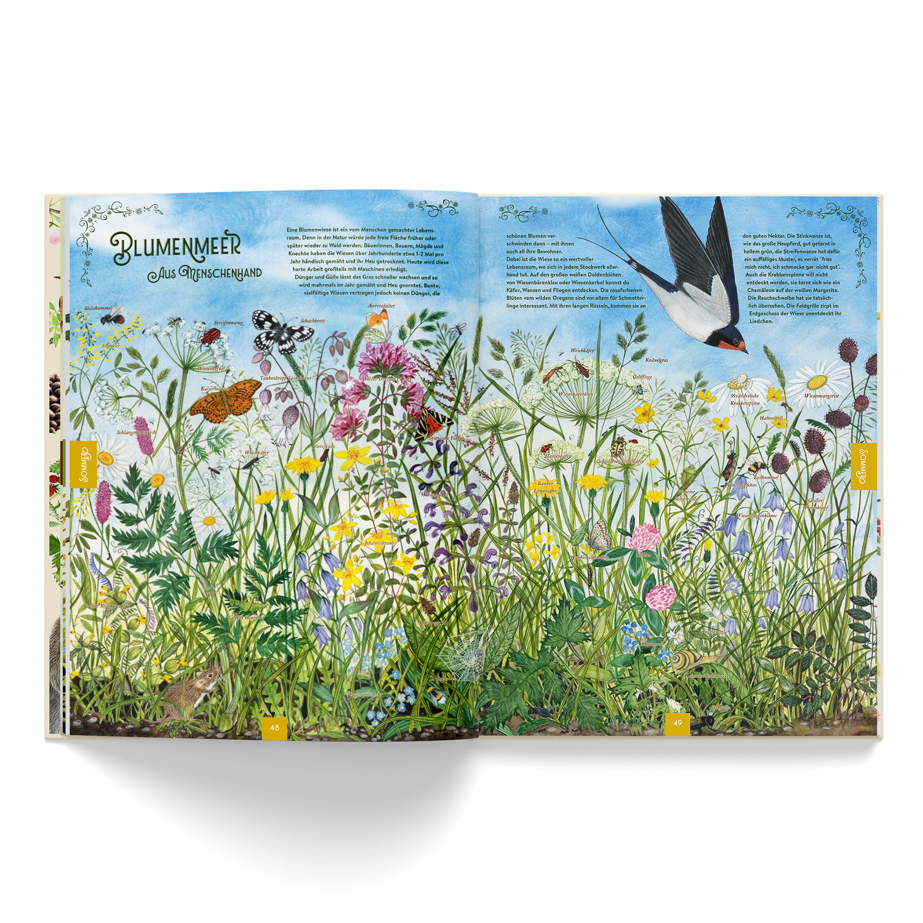 Dein Jahr mit der Natur (vorbestellbar) – Bild 3
