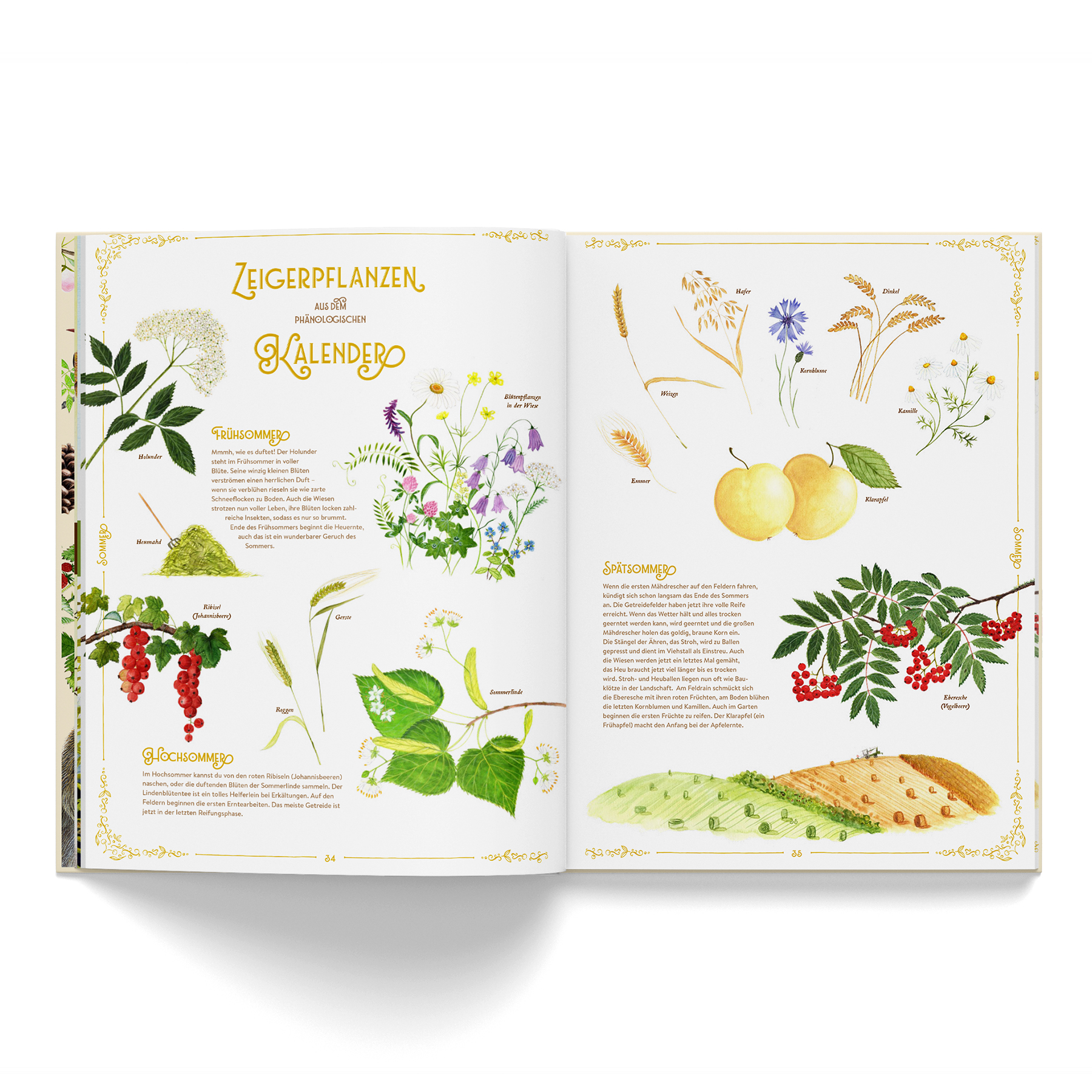 Dein Jahr mit der Natur (vorbestellbar) – Bild 10