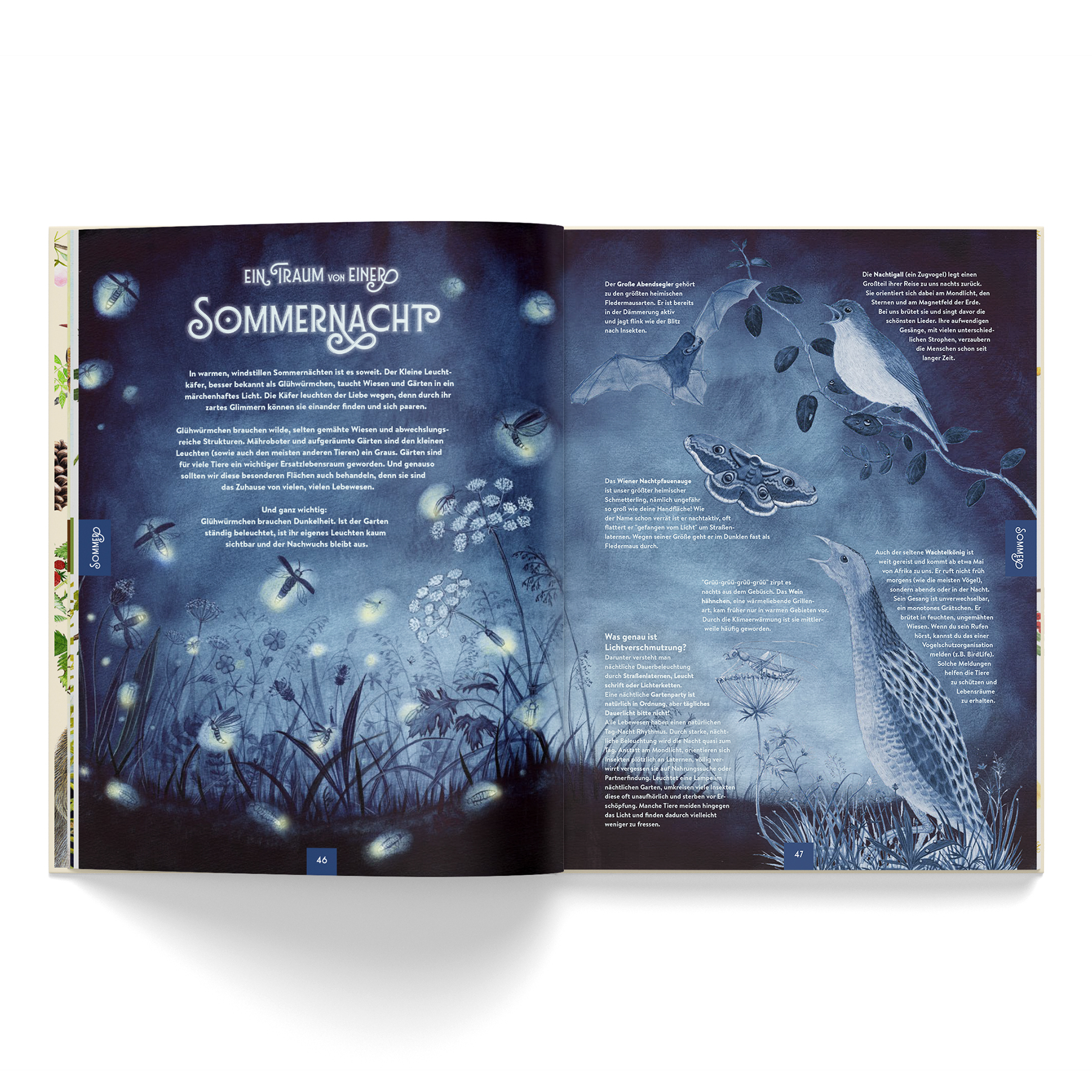 Dein Jahr mit der Natur (vorbestellbar) – Bild 6