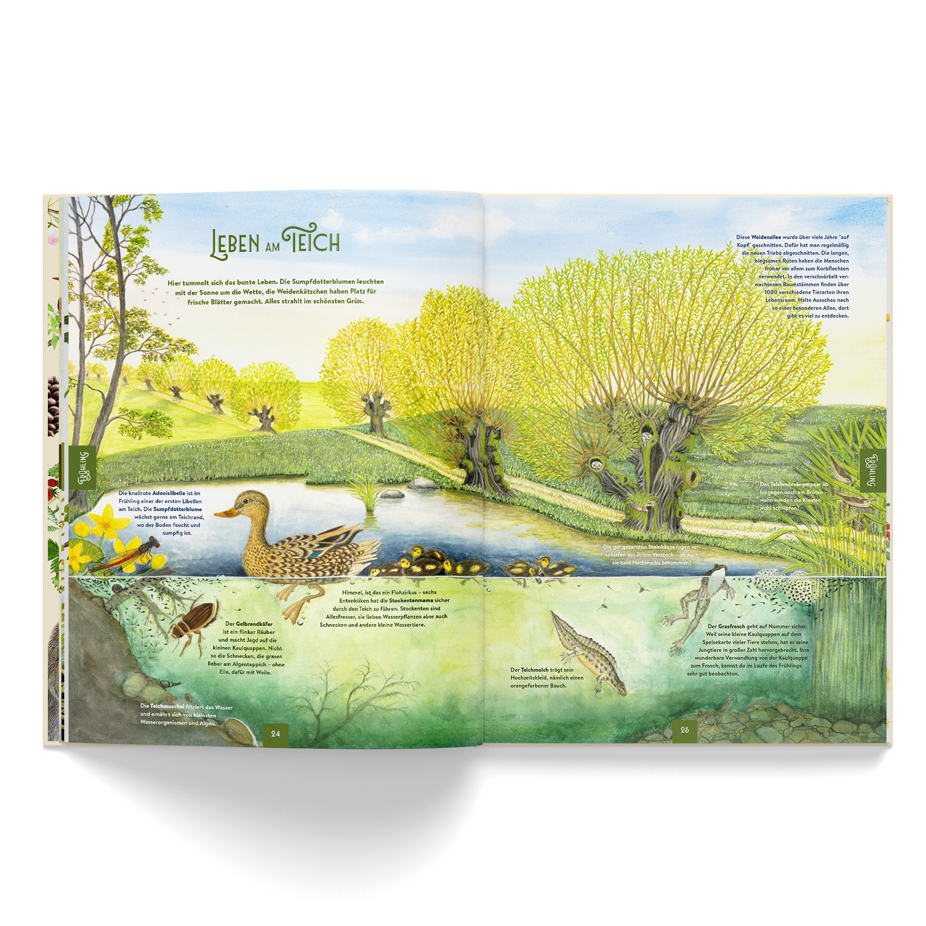 Dein Jahr mit der Natur (vorbestellbar) – Bild 4