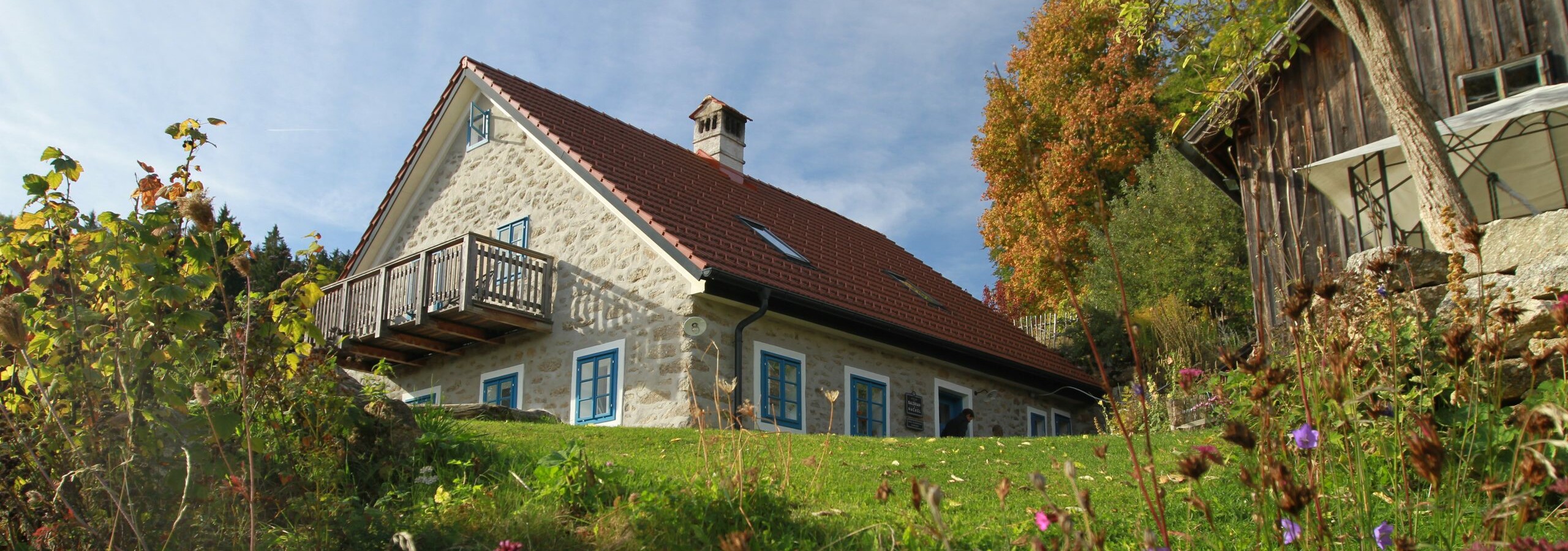Bild für »«